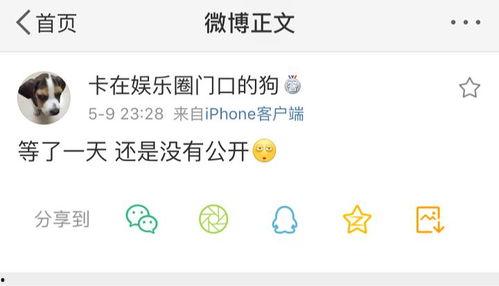 最新吃瓜爆料解说文案,揭秘明星背后的惊人真相！